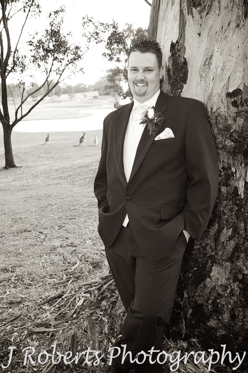 Sepia groom leaning on gum tree with kangaroos watching - wedding photography sydney